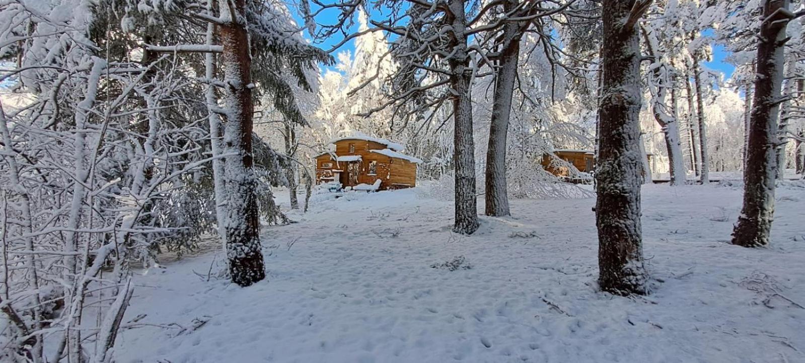 Chalet Hibou 1 Couchage En 140 Domaine De La Mamounette Champclause 外观 照片